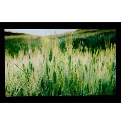 صفحه نمایش LCD 10.1 "LCM 1024 × 600RGB 350cd / m² LQ101W3LG01 Sharp TFT LCD