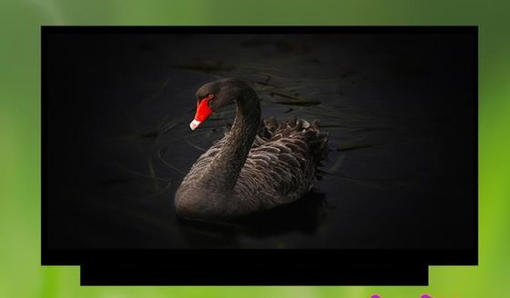 نمایشگر LCD صنعتی N133HCE-G63 Innolux 13.3 &quot;1920 (RGB) × 1080 300 cd / m²