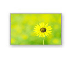 نمایشگر LCD 4.0 "320 × 240 4700cd / M2 HSD040I3N1-B00 HannStar